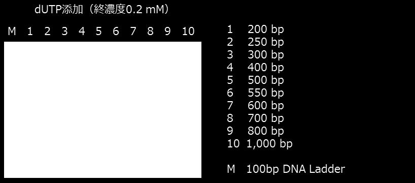 の添加例を紹介します < 反応液 > 滅菌水 16μl KOD One TM PCR Master Mix 25μl 2 mm dutp 5μl 10 μm 各プライマー 1.5μl 10 ng/ μl ヒトゲノム DNA 1μl Total Volume 50 μl <PCR サイクル > 98 10 sec. 60 5 sec. 30 cycles 68 1 sec.