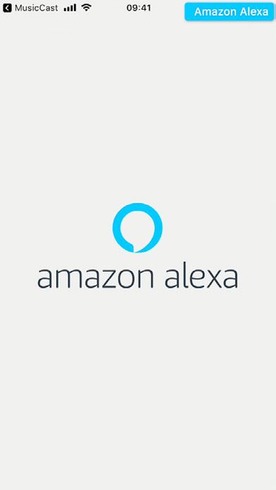 Punkt 17 Amazon Alexa App Es