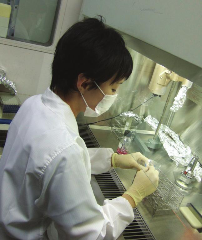 シリーズ仕事に懸ける (5) 今回は微生物部門杉江真理子さん京都市は, 感染症の予防や食品の安全 安心などを確保するため, 平成 23 年 3 月, 京都産業大学と協定を締結し, 連携して調査研究を進めていくことを決めました 平成 23 年 11 月には,
