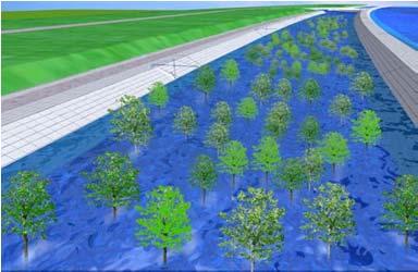 Ⅴ Ⅵ 堤防 保護工の機能評価技術の向上 ( 破堤拡幅機構の解明 保護工の機能検討 ) 治水と環境を両立した樹林管理手法の確立 ( 河道内樹林群の流れの解明