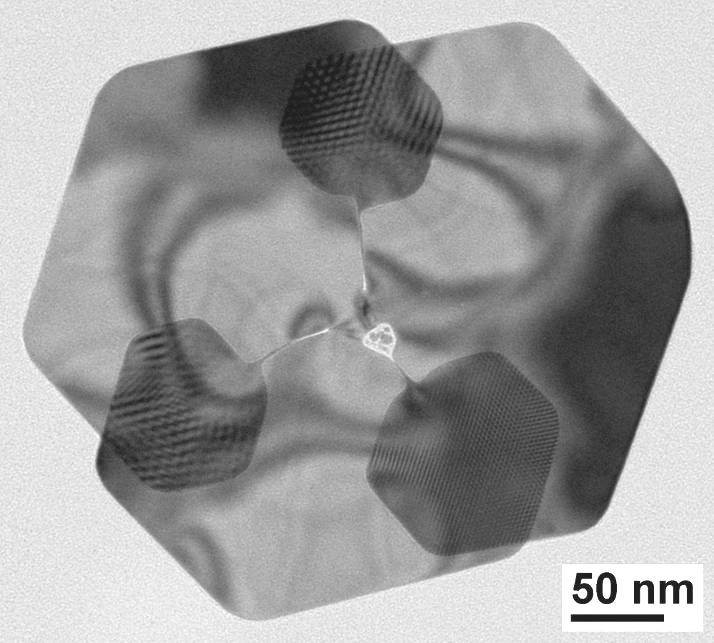図 7. ナノ彫刻によって得られるプロペラ状の金ナノプレート ( 単結晶 ) 花冠状金ナノプレートの他 図 7に示すようなプロペラ状金ナノプレートも得られます 花弁同士が重なりあっている箇所に縞模様が見えますが