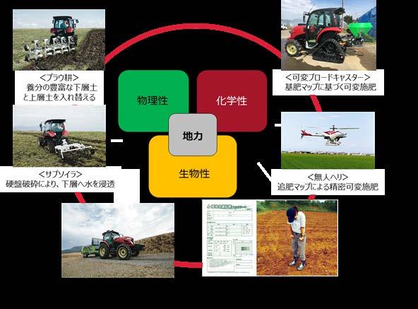 追肥を実施 水稲の葉色マップ例 システムの導入メリット 薄 葉色 濃 (