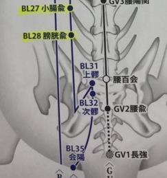 BL35 会陽 位置 尾の根元の外側にある陥 凹部 作用