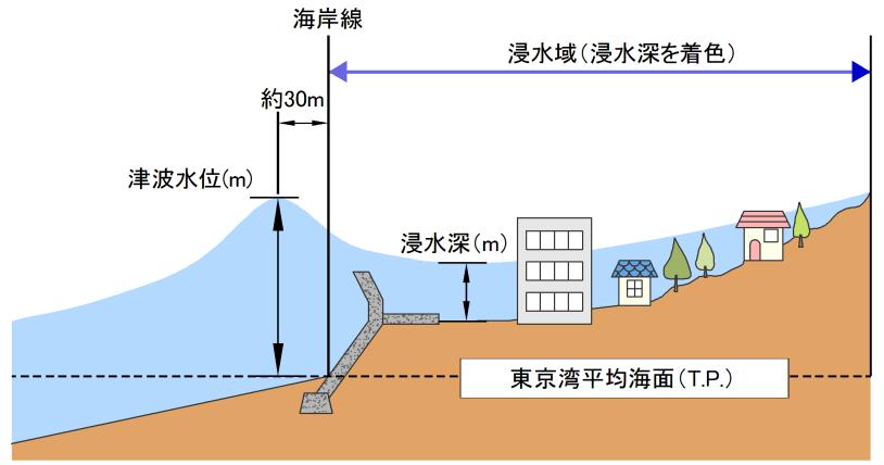 計算結果について 基本事項 浸水域 浸水深 : 宮崎県津波浸水想定図のとおり 浸水域