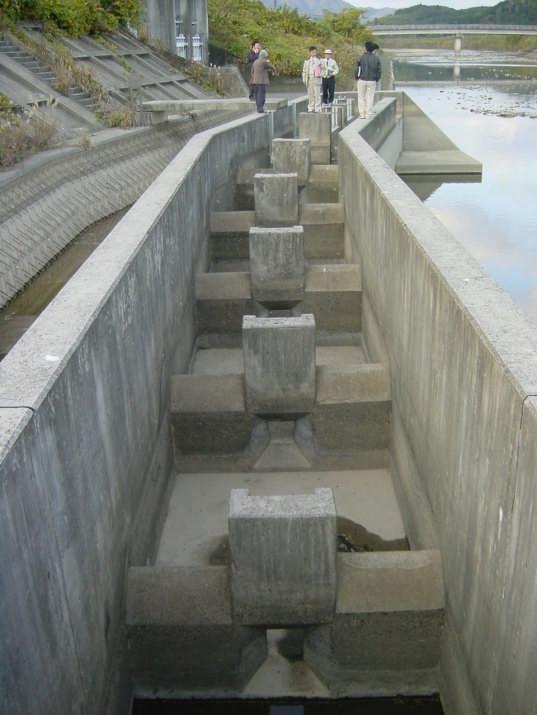 山口県木屋川に建設された大野頭首工の右岸側に設置されたアイスハーバー型魚道 (