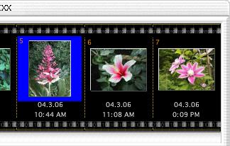 [ImageBrowser] メニューの [ 環境設定 ](Mac OS 9 の場合は [ 編集 ] メニューの [ プレファレンス ]) の [ ブラウザウィンドウ ] で JPEG 画像の回転時にオリジナルを残しておく のチェックマークを付けると オリジナル画像と回転後の画像ファイルの両方が取り込まれます