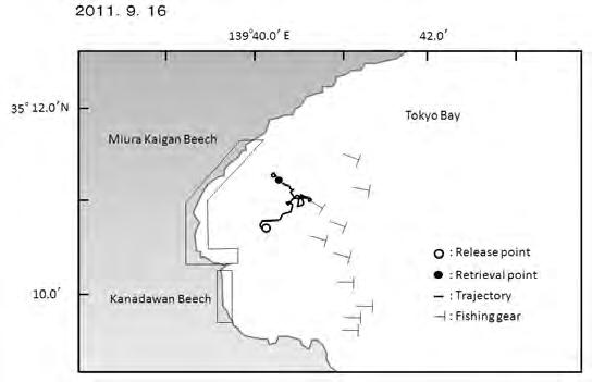 沿岸域総合的管理のための先駆的科学技術適用の取り組み -バイオロギングによる魚類の生息域利用調査に関する研究-- 論文 Dasyatis akajei 図 4.