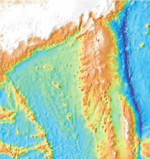 Two dives were devoted to western and eastern walls in a deep graben located in the southwest of Tempo Seamount.