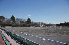 横浜公園内にある日本初の多目的スタジアムです 日本のプロ野球チームの本拠地にもなっています