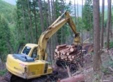 特定間伐促進計画の場合は集約化実施計画ごとに申請します 1 森林経営計画内の間伐を行うべき箇所の全ての合計面積が 5ha 未満の場合 それら全てを一括して実施する場合は支援対象となることがあります 伐採木の搬出実施箇所 1ha 当たり平均 10m 3 以上の木材を搬出