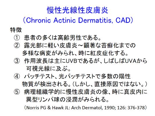 などのさまざまな名称で呼ばれてきました その後 それらは同じ範疇に含まれると考えられるようになり 現在では 1990 年にノリスとホークにより提唱された慢性光線性皮膚炎 (chronic actinic dermatitis, 以下 CAD と略します )