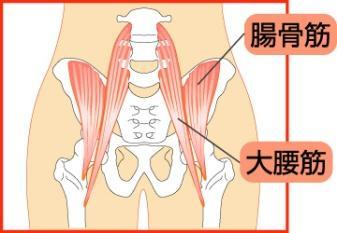 大腿筋膜張筋 ( だいたいきんまくちょうきん ) 筋肉を伸ばし 緩める 内側を股関節の方向へ 外側 を引っ張る方向へ 股関節を外転する筋肉 膝 or