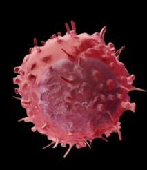 有害事象 がん細胞が正常な細胞から生じるように