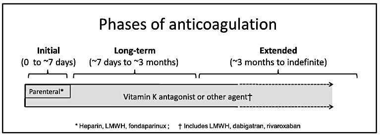 2.1. Initial anticoagulation for patients with acute DVT of the leg acute DVT of the leg treated with VKA: è initial treatment with parenteral anticoagulation (LMWH, fondaparinux, IV UFH, or SC UFH)