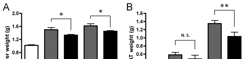 Fig. 1. Body weight (A), blood glucose (B) in mice fed with high-fat diet containing rice powder (control) or high-fat diet containing Monascus powder.