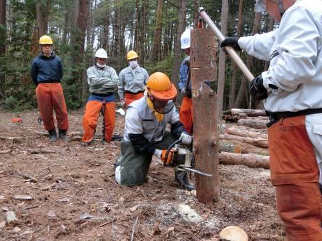 林業に関する相談を受けています 担い手及び林業技術者の養成研修 将来