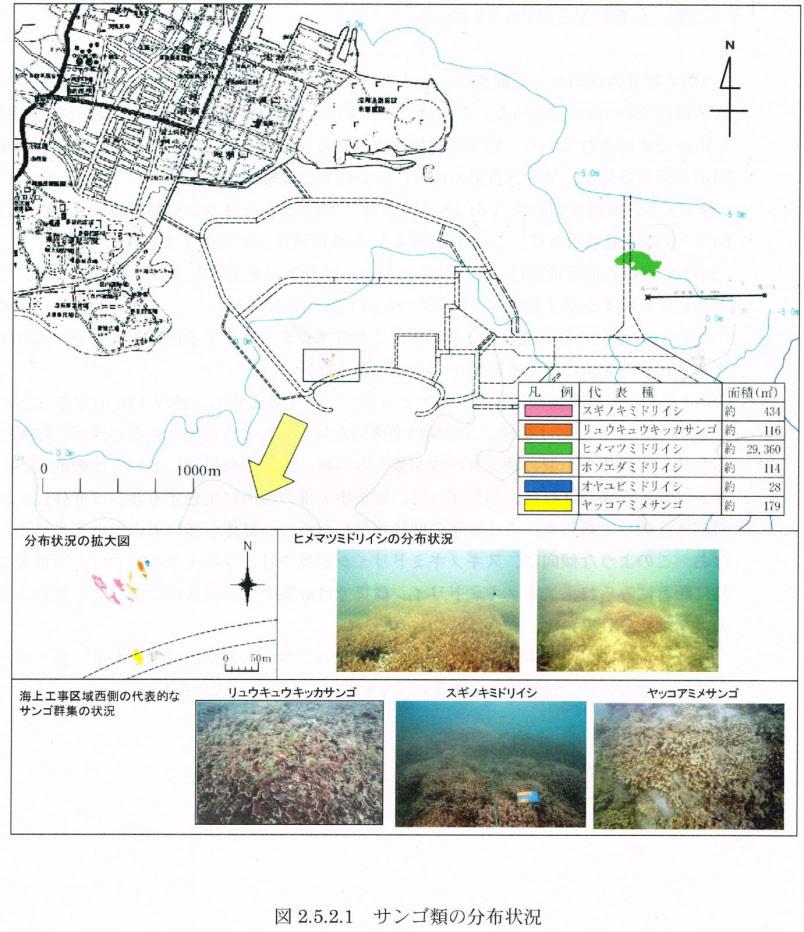 左の図は 事業者が 環境監視委員会 (2005 年 7 月 12 日 ) に報告した資料の一部 ヒメマツミト リイシ群落面積 29,360 m2 ( 約 3 万m2 ) 連絡会の調査結果の約 10 倍 1 区のサンゴ群落のサンゴの種類と面積 (