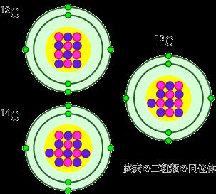 同位体 (isotope) 電子 陽子 中性子 炭素 同位体存在比 ¹²C 98.9% ¹³C 1.