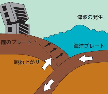 参考 海溝型地震と都市直下の地震 1 海溝型地震地球をおおっている 10 数枚の板状の岩盤 ( プレート ) のうち 日本列島には太平洋 プレートが年間約 9 cm フィリピン海プレートが年間約 3 cmで沈み込んでいる この海 のプレートが沈み込むときに陸のプレートの端が巻き込まれる やがて 陸のプレート の端は反発して跳ね上がり 巨大な地震を引き起こす この地震を海溝型地震と呼ぶ