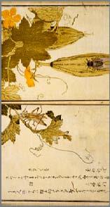 古典籍資料 ( 貴重書等 ) 画本虫ゑらみ 喜多川歌麿筆, 宿屋飯盛 < 石川雅望 > 撰, 1788 貴重書