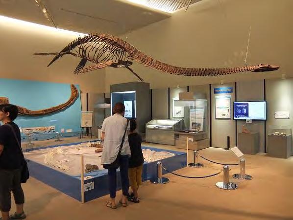 展示テーマ : 恐竜時代の群馬の海 主な展示資料