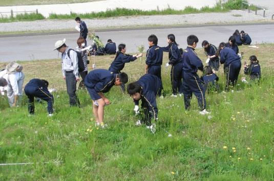 植物の学識者や中学校の先生のサポートのもと 科学部員を含めた七草堤防プロジェクトメンバーにより