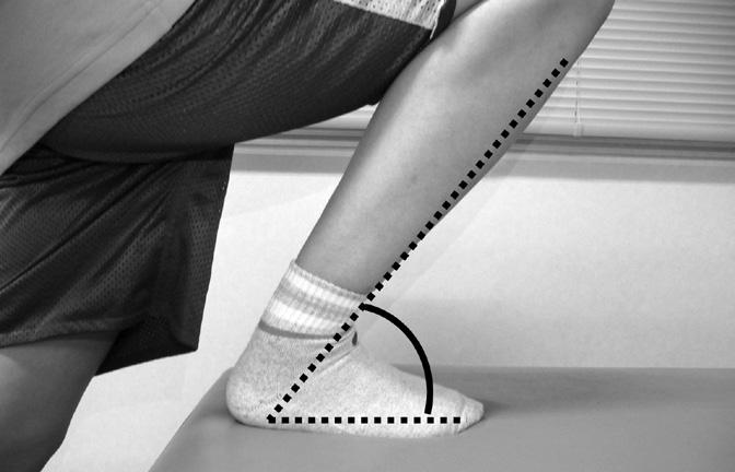 足関節背屈 下腿前傾 足関節背屈 下腿前傾 が不足すると 膝を曲げたときにお尻が荷重線より大きく 後方へ動くので 重心が後方へ移動します 膝伸展機構へのストレスが増大し 背を丸