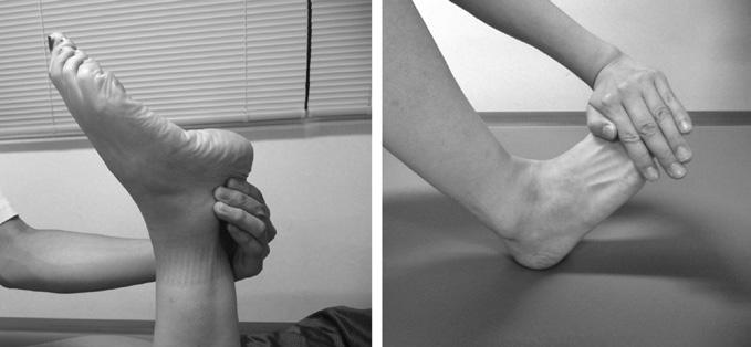 足趾をかんでしまうと距骨の後方移動が制限され 足関節背屈可動域 下腿前傾 が低下する ワットをする際は 足趾に力を入れないこ とが必要です 同時に足関節背屈を保持する前脛骨筋や