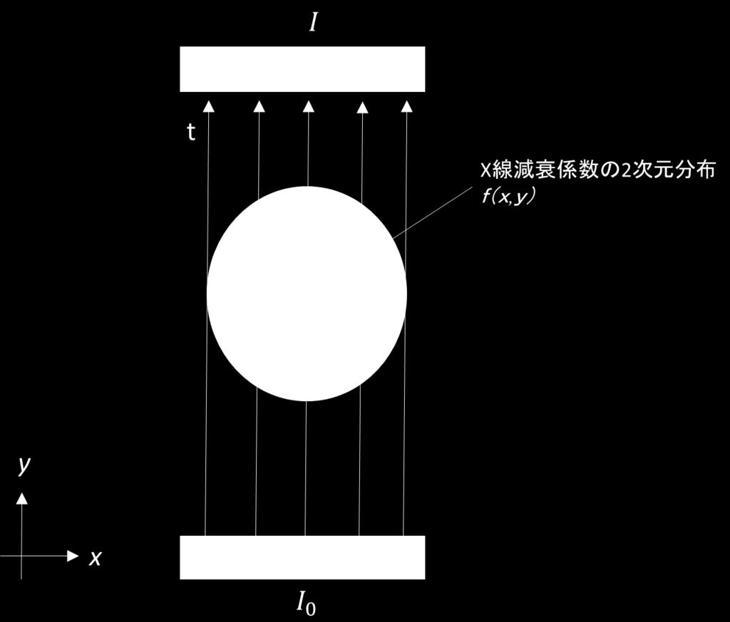 2. X 線コンピュータ断層撮影 (X 線 CT) 2.1 X 線投影データの取得 図 2.1 に被写体の X 線投影データを取得する様子を示す.X 線源と X 線検出器を, 被 写体を挟んで対向配置し, 被写体を通過した X 線の強度を検出器で測定する.X 線源か ら照射された X 線の強度は, 被写体を通過するときに, 被写体の X 線減衰係数に応じて 指数関数的に減衰する.