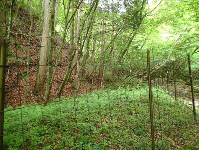 ] 過去の渓畔林整備の事例では 破損の時の影響を最小限に留めるため一辺 15~20m の矩形で植生保護柵の設置を行っている 高標高域では