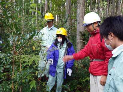 (3) 調査まとめニホンジカの林木の剥皮による林業被害への対策として テープ巻き 枝条巻き についての効果を検証しましたが 試験区においてニホンジカの存在は確認されたものの