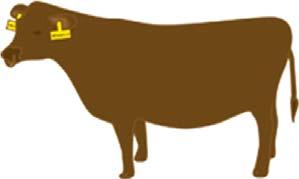 放射性物質の暫定許容値以下の飼料を給与する 食品衛生法上の基準値を超えない乳 肉