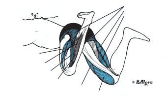 内旋によっても達成される 脚が後方 大殿筋 半腱様筋 へ伸びるときは 大腿四頭筋が活動す 半膜様筋 る 大腿四頭筋は 内側広 筋 外側広筋 および中間広筋からな る また 大殿筋 大腿二頭筋 半腱 様筋 および半膜様筋の活動によって 股関節が伸展する 大腿二頭筋 ダウンスイープ 図５ 短腓骨筋 解説 前の局面で始まった脚の伸展運 長腓骨筋 動が続く 脚は外側下方へ最大限に広 前脛骨筋