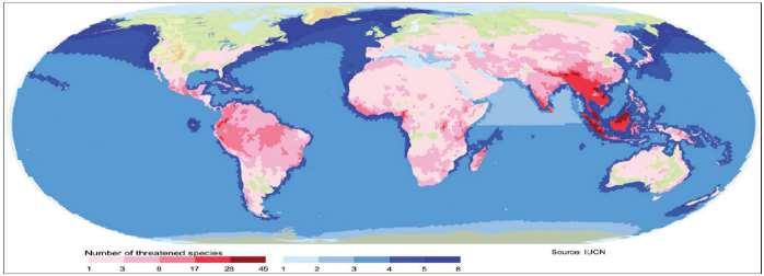 レッドリスト分析 提供 :IUCN Global distribution of threatened mammals