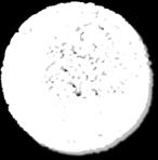 得られたナノ粒子の形状がマリモによく似ていることから これら一連の金属酸化物ナノ粒子球状多孔質構造体をMARIM(Mesoporously Architected Roundly Integrated Metal