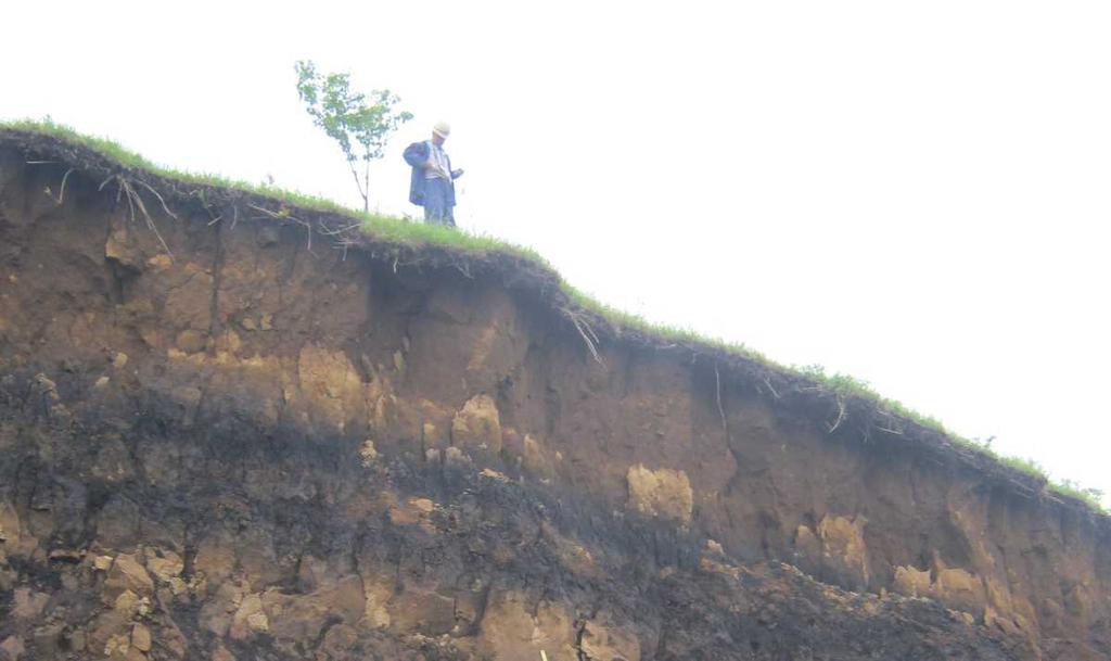 斜面表層だけでなく深い位置にある岩盤の層まで含んで崩壊する現象 5 地すべり性崩壊 ( 高野台 )