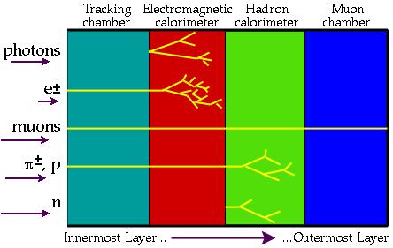 TRT(Transition Radiation Tracker) カロリメーター ミューオン検出器 Electromagnetic calorimeter Hadronic calorimeters