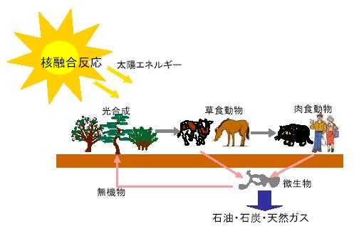 地球と太陽の連携 : 物質の循環 地球は太陽のエネルギーのおかげで植物と動物の共存できる環境 ( 生態系 )