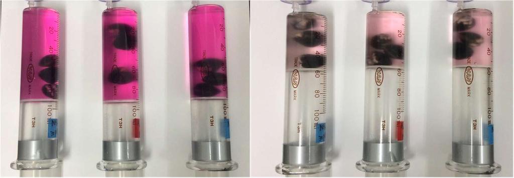 染色剤 (μmol/l), 12 1 8 6 4 2 硫化水素 染色剤 3 6 9 12 時間 ( 分 ) 図 11 染色剤と硫化水素濃度の時系列変化 図 12 染色剤の濃度変化.( 左 ) 開始直後,( 右 )12 分後 5) 硫化水素発生抑制剤の開発 背景 目的 硫化水素を生成する硫酸還元細菌は,pH を上昇させることで, その活性が下がることが分かっている.