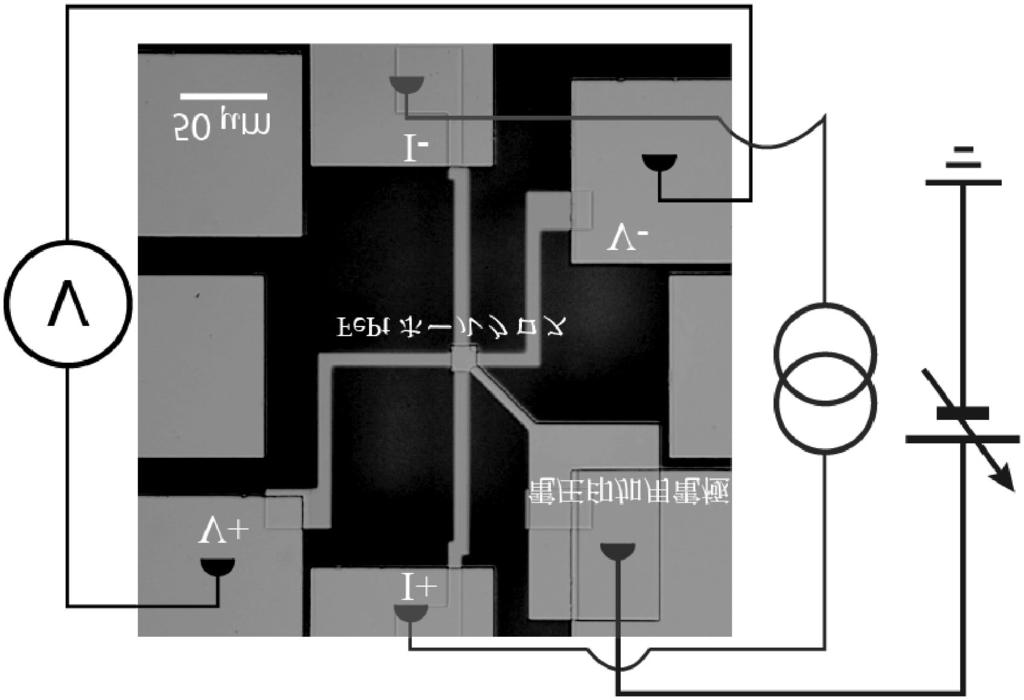 図 6 電圧印加用 L1 0 FePt ホール素子の光学顕微鏡像および測定セットアップの模式図. 圧を印加して特性制御を行うときに重要となるのが, 物質の極薄化である. 半導体とは異なり金属はキャリア密度が極めて高い (10 22 ~10 23 cm -3 ) ため電子の遮蔽効果が強く, 例えば絶縁障壁を介して金属に電圧を印加しても, 電荷蓄積が生じるのは絶縁障壁との界面近傍に限られてしまう.