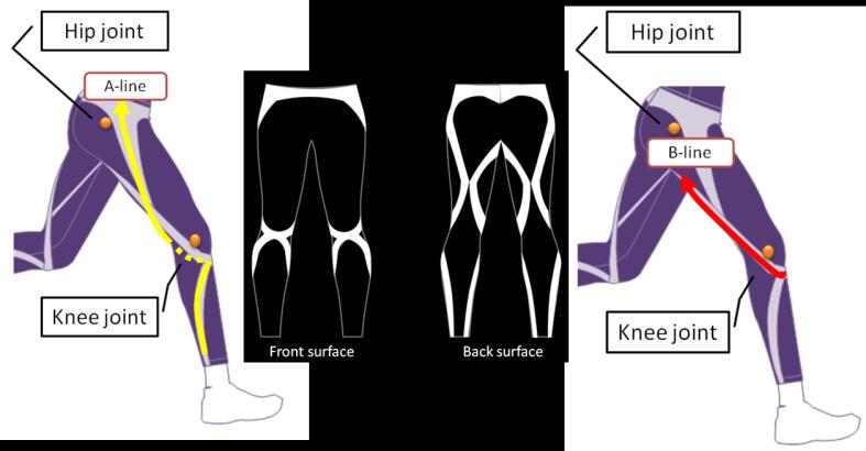 FW のライン構造は A ラインが股関節屈曲内転 膝関節外反姿勢 (knee in) に対し て