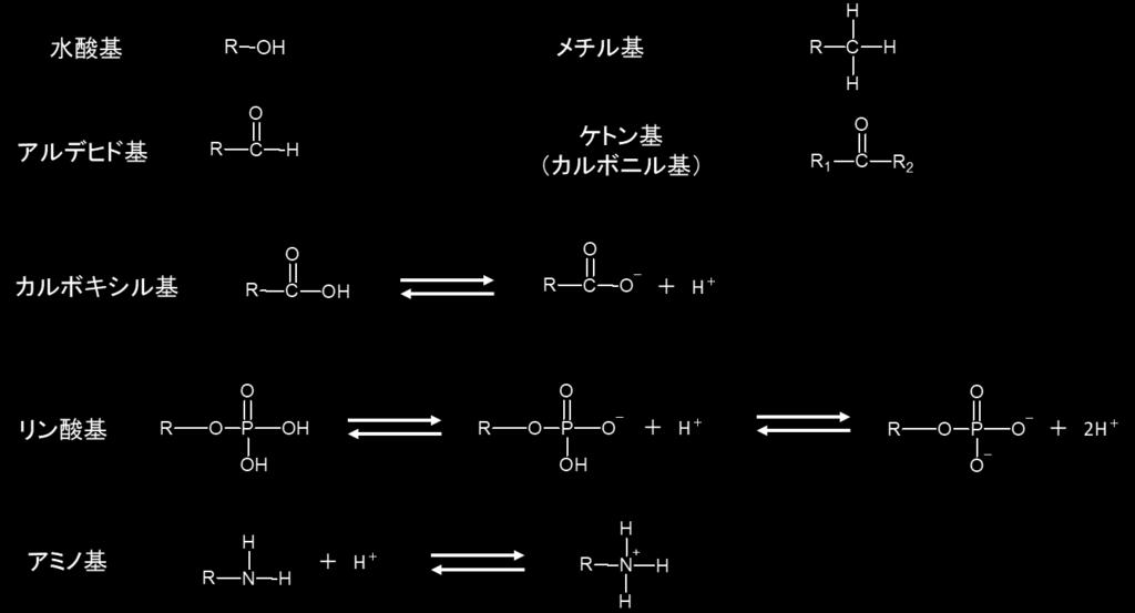 3. 主な官能基 有機化合物の分子構造の中にあって 共通の構造や反応性をもつ原子団を官能基という 生化学で扱う主な官能基水酸基 (-OH) アルデヒド基 (-CHO) 電荷を持たない官能基ケトン基 (=C=O)( カルボニル基ともいう ) メチル基 (-CH 3) カルボキシル基 (-COOH -COO - + H + ) 負の電荷をもつものリン酸基 (-H 2PO 2-4 -PO 4 + 2H