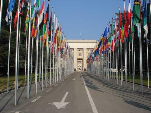 国連の欧州経済委員会に自動車基準の国際的な統一を図る組織として, 自動車基準調和世界フォーラム (WP29)