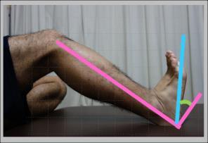 足関節背屈角度 図