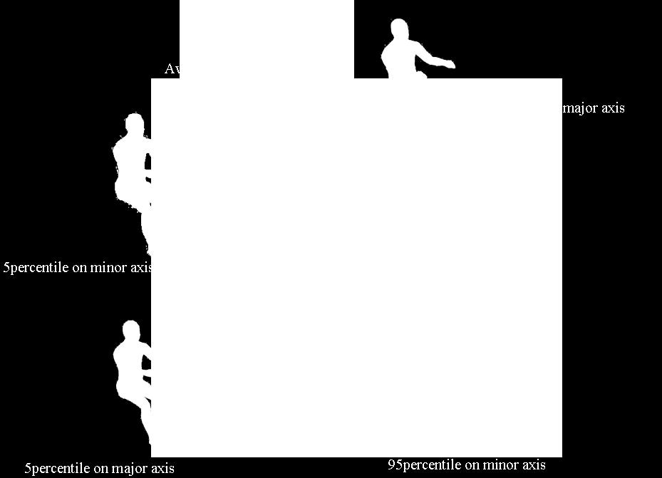 1 に示す身長 体重をもとに,Fig.2.5 に示す 5 体の乗員モデルを作製した. Table 2.