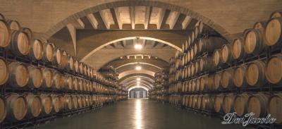 アルヴェサ アルタの接点でもあります つの産地の良いところを集めたような土地で 他に類を見ないほど見事に調和のとれたワインを生産することができるのです ドン ハコボ