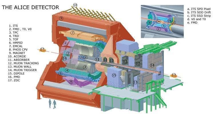 QGP LHC QGP ALICE LHC 16m 16m 26m ALICE (1) Central Barrel( 0.9 < η < 0.9) (2) Muon Spectrometer( 4 < η < 2.5) (3) (3.4 < η ) Central Barrel (0.