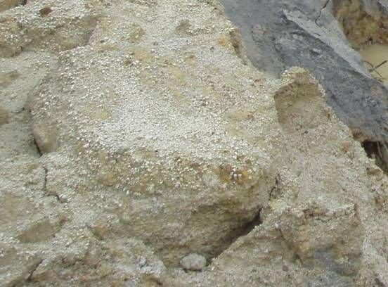 マトリックスが流されることで 礫が斜面内に浮き出してきている 流水の侵食に対する抵抗力が弱い凝灰質土に硬質な溶結凝灰岩の礫を含むため 選択的侵食が起きやすい