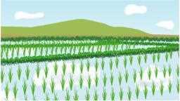 農作地帯の研究解析 稲作 ( 米 )
