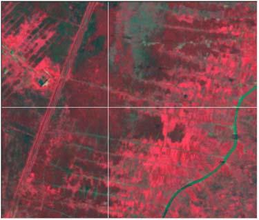 過去の衛星データは森林の姿を記録した貴重な資料です 上手に使えば 森林減少を把握することもできるでしょう しかし 1990